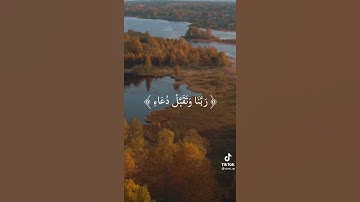 (رب اجعلني مقيم الصلاة)❤️|| تلاوة للشيخ عبدالباسط عبدالصمد رحمه الله 🌿