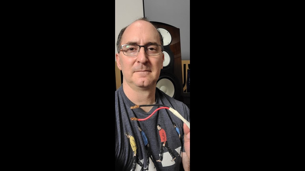 Should You Bi-Wire Your Speakers? #shorts