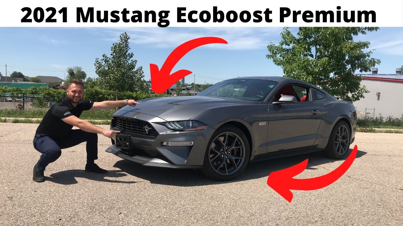 All New 2021 Ford Mustang Ecoboost Premium In Depth Review & Walk