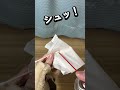 【ゲームボーイ】 ゲームソフトとかでよくあること。 #shorts #ゲーム #game #nintendo
