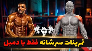 تمرینات سرشانه با دمبل / برنامه تمرینی کامل عضلات سرشانه فقط با دمبل