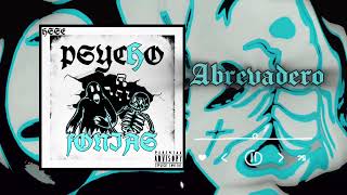 6. Abrevadero - P$CHFN$