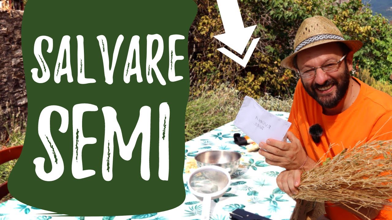 Come salvare i SEMI dell'ORTO