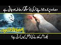 Hidden and interesting facts about national bird of pakistan  chakor bird  urdu cover