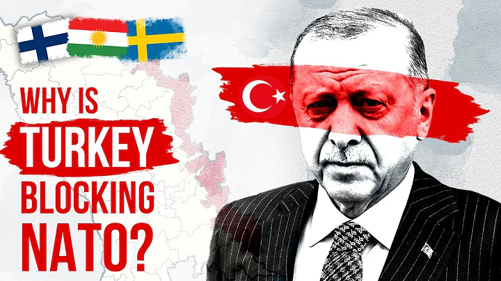 Why is Turkey Blocking Sweden & Finland from joining NATO? Erdogan, Kurds, Terrorism & the PKK - DayDayNews