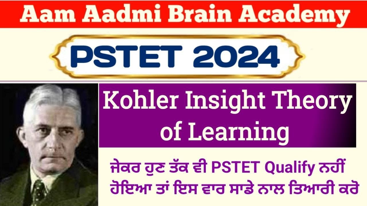 PSTET PSYCHOLOGY   | pstet preparation 2024 | pstet 2024 | pstet new notification | pstet CDP classe