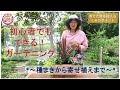 初心者でもできる地域の花の育て方！ ～18色の緑づくり（大田区）～