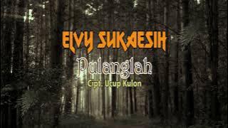 Download lagu PULANGLAH - ELVY SUKAESIH