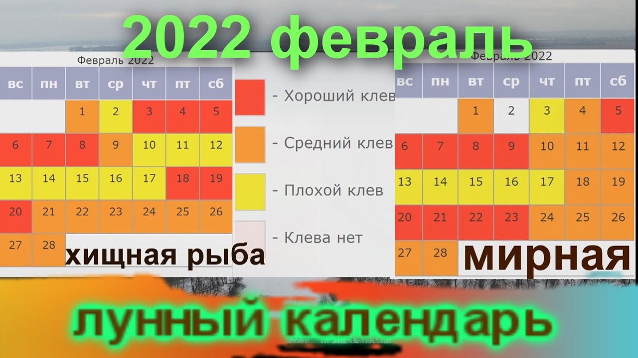 Клев рыбы на март месяц. Лунный календарь рыбака на 2022. Рыболовный календарь на февраль 2022 года. Рыболовный календарь на 2022 год. Лунный календарь рыбака на 2022 год.