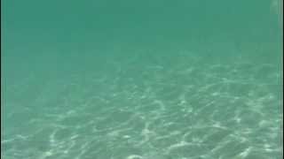 Fijian Islands: Snorkelling after a fish at Manta Ray resort on Nanuya Balavu Island