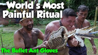 Bullet Ant Initiation The Sting Of Manhood