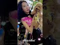 Bắt gặp bé cún và cô chủ siêu dễ thương ở Trung Thu Tuyên Quang 2023🥰