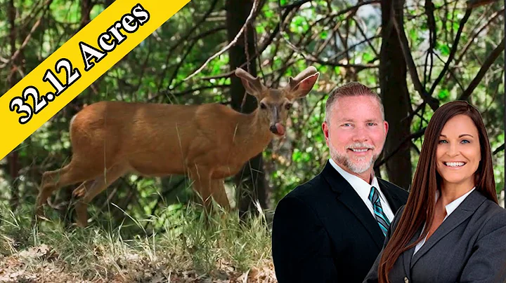 Florida's Ultimate Real Estate Opportunity: 32 Acres, 2 Homes for Sale