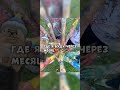 Через месяц начинается это 😂 Любимый лагерь жди #shorts #роблокс #видео #игры #roblox