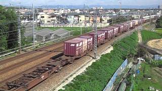 EF81 404貨物列車