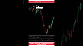 Williams Percentage Range Divergence Forex Trading Strategy