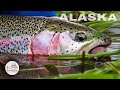Alaska Fly Fishing with a Mouse Fly - Aniak by Todd Moen