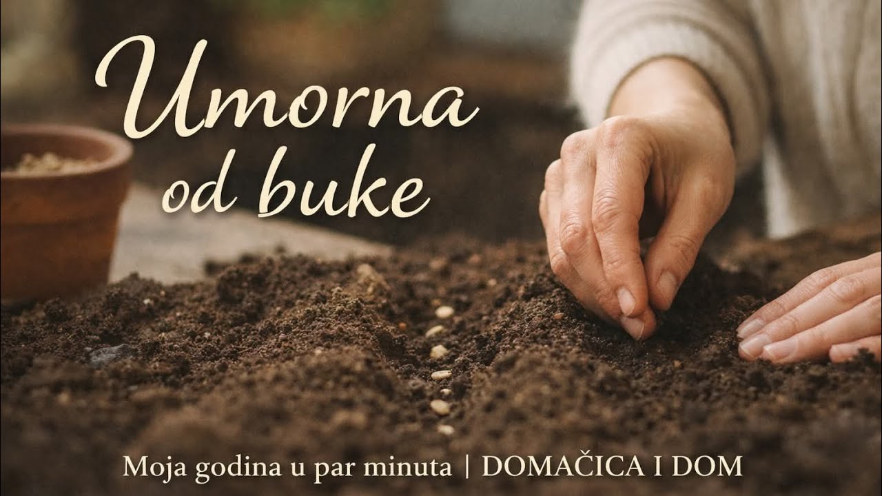 Moja godina u par minuta 🌿 / @DOMACICA-I-DOM 