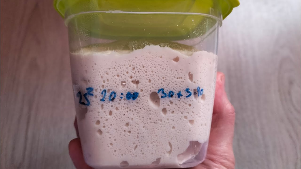 Cum pregătesc Lievito Madre de la frigider, pentru preferment / plămădeală ?