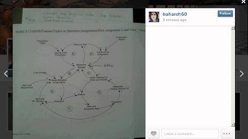 Discussion of a Causal Loop