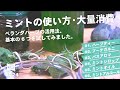 ミントの使い方・大量消費方法6選まとめ。ベランダ菜園のミントを余すことなく使い切る。基本編[暮らしのVlog ♯024]