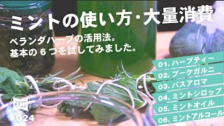 ミントの使い方・大量消費方法6選まとめ。ベランダ菜園のミントを余すことなく使い切る。基本編[暮らしのVlog ♯024]