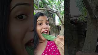 TASTY! THE MOST FUN POPSICLE IN CHILDHOOD! CHINESE FOOD EATING SHOW I FUN MUKBANG ASMR