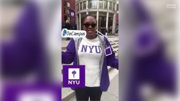 LinkedIn Stories Feature - Campus playlists sizzle reel