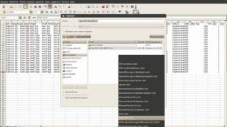 omzetten-csv-import.avi