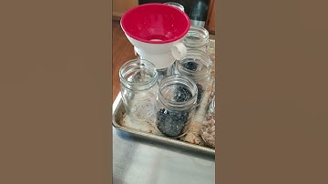 CANNING Homegrown Beans / firstmarinewife
