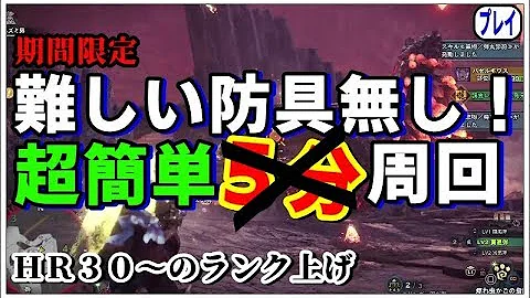 ワールド ハンターランク