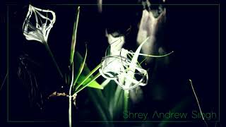 Shrey Andrew Singh - Asteroid