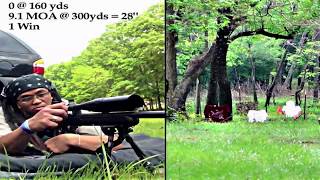.17 HMR @ 300 Yards