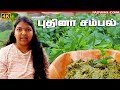 Organic Vegan Mint Chutney | Mint Sambal Recipe in Tamil