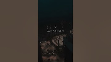 تلاوة خاشعه بصوت الشيخ ماهر المعيقلي