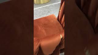 Dining Chair Producer Pvd Coating Ss Leg