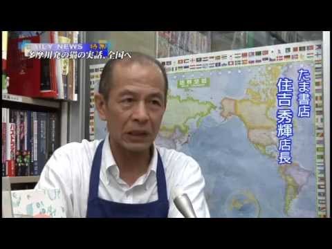 「風になった伝書猫」　猫たちが導いた出版界・奇跡の出来事とは―――。