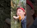 Survival Skills: Useful and Clever #outdoors #survival #campfire #bushcraft