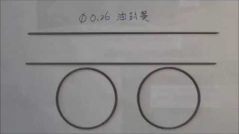 CS-208 CNC Garter Spring Machine(1) - 0.26mm Garter Spring (for Oil Seal) - YHM