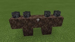 What If You Create Double Wither In Minecraft Pe