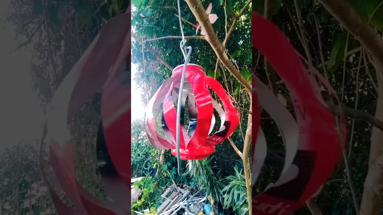 Soda can spinner on a Tree#shortvideo#sodacanspinners