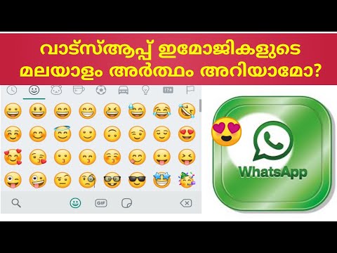 Whatsapp Emoji കളുടെ മലയാളം അർത്ഥം അറിയണോ? | mean of whatsapp imojis Malayalam😍🤗