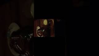 Natures own 100% whole wheat review