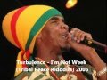 Turbulence I M Not Weak Tribal Peace Riddim 2006 mp3