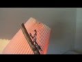 VIDEO: Ζωντανή μυγοσκοτώστρα