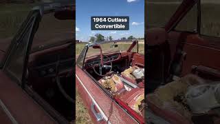 Sports Performance 1964 Oldsmobile Cutlass convertible