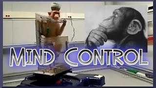 Mind Control Monkeys - Strange News