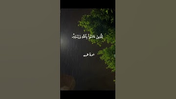 #قرآن كريم #اكتب شئ تؤجر عليه 
