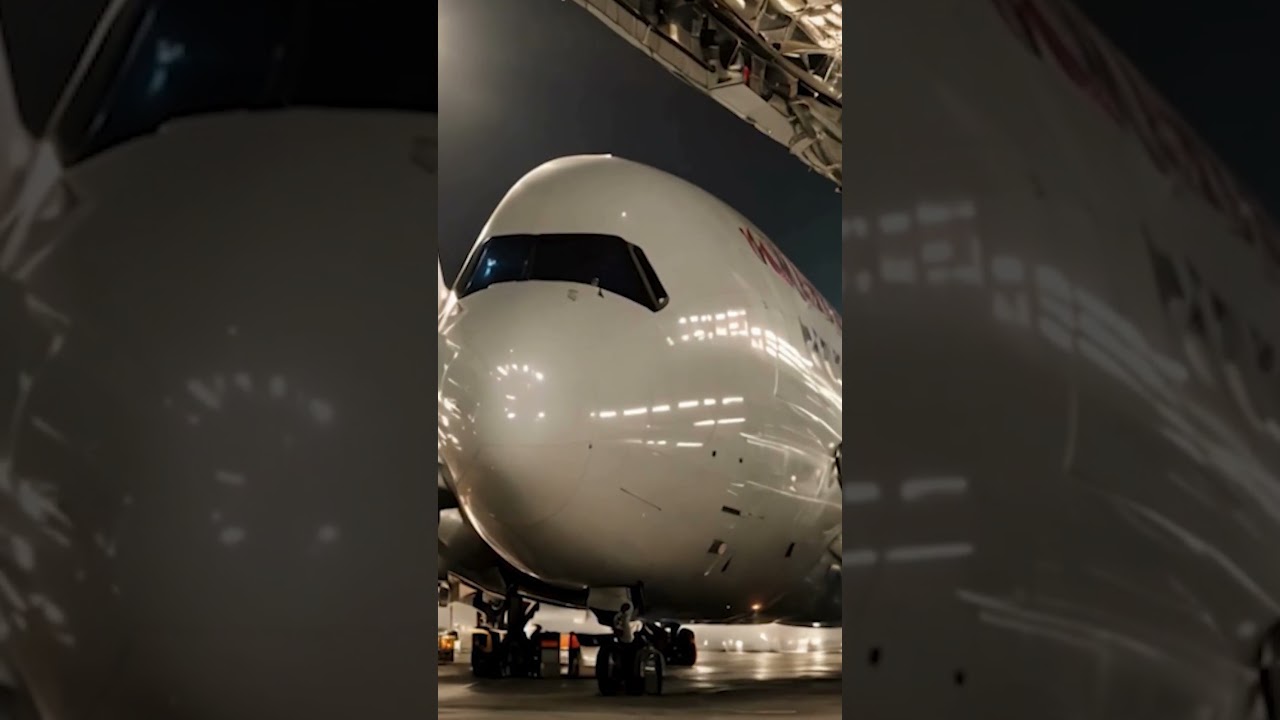 Flight Mystery गायब हो गया विमान 