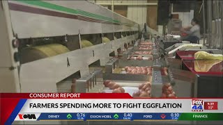 Farmers Spending More to Fight Eggflation